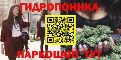 соль ск Пушкино