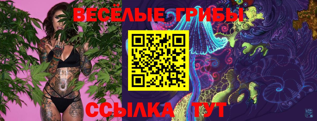 Псилоцибиновые грибы прущие грибы  Вход с VPN  где продают наркотики  Псилоцибиновые грибы мицелий  Нальчик 