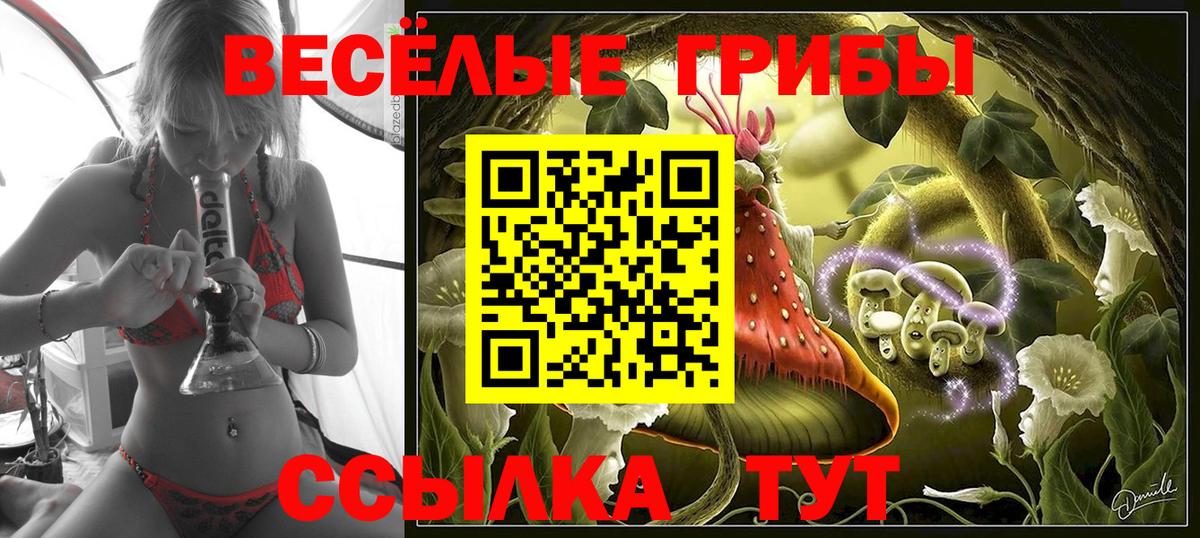 Галлюциногенные грибы мухоморы Нальчик